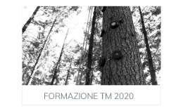 FORMAZIONE TM 2020